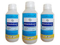 Thuốc diệt côn trùng Crack Down