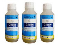 Thuốc diệt mối mọt Cislin