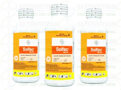 Thuốc xịt diệt muỗi Solfac (Bayer)